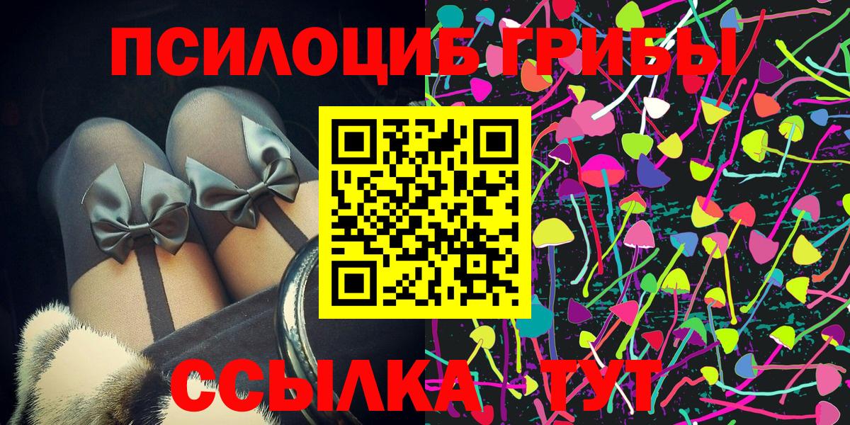 Галлюциногенные грибы MAGIC MUSHROOMS  Вход с VPN  Елизово 